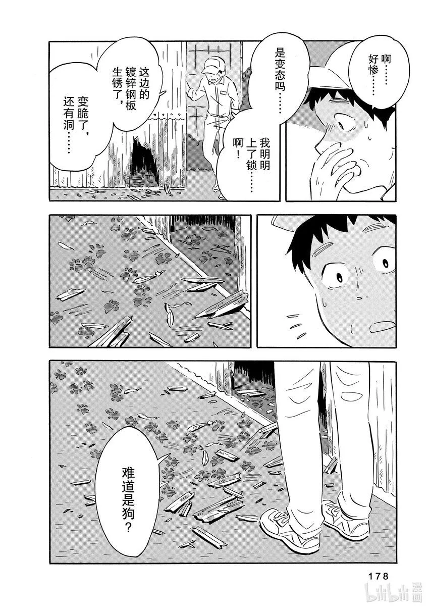 10 鸟 第36页