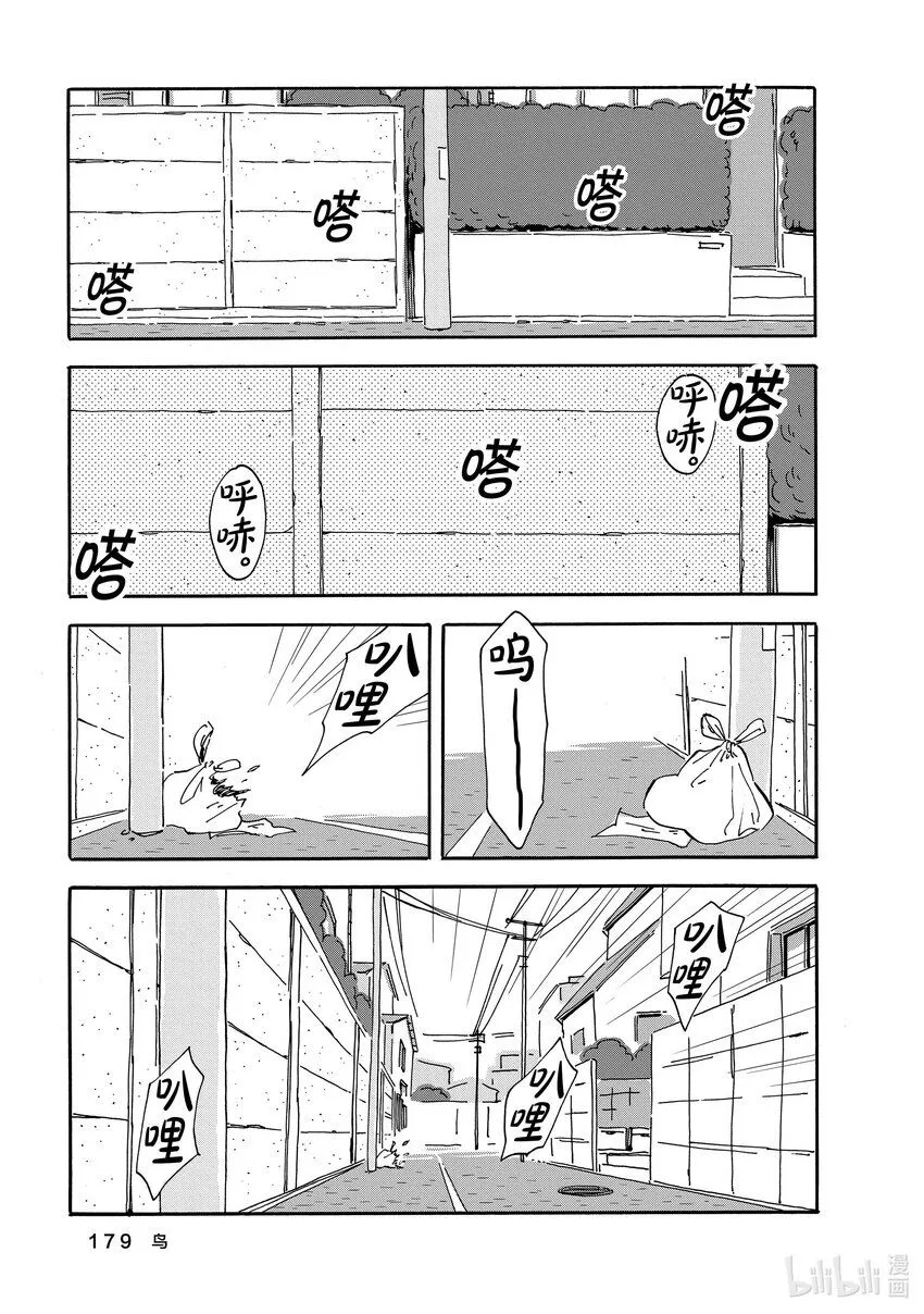 10 鸟 第37页