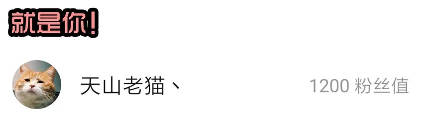 1610 1600话活动公示 第54页