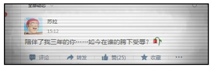 017 贱人 第2页