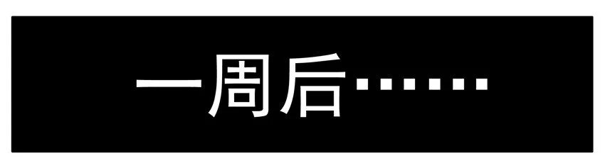 116 海报 第7页