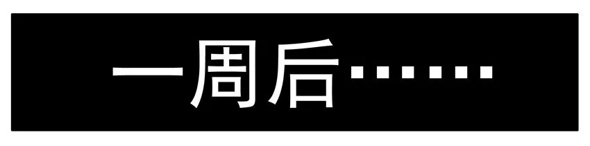 126 肌肉 第4页