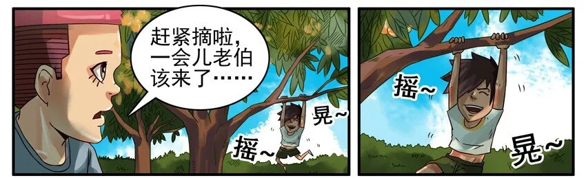 374 摘枇杷 第4页