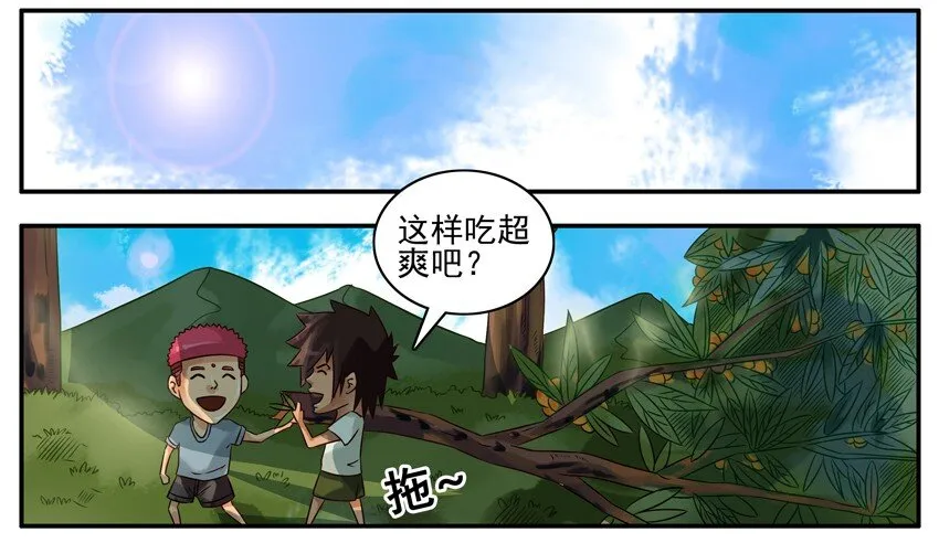 374 摘枇杷 第8页