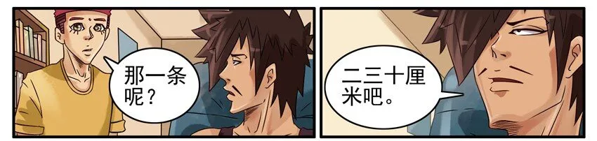 516 学车 第6页