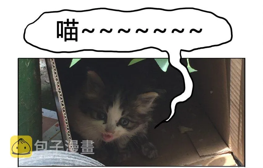900 九百话纪念 第10页