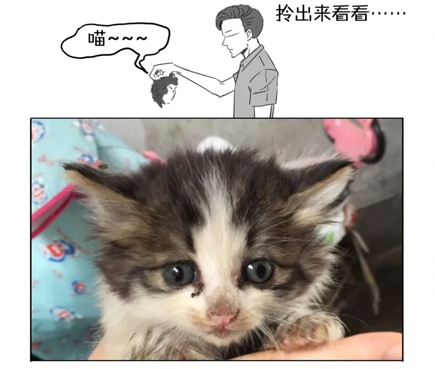 900 九百话纪念 第12页
