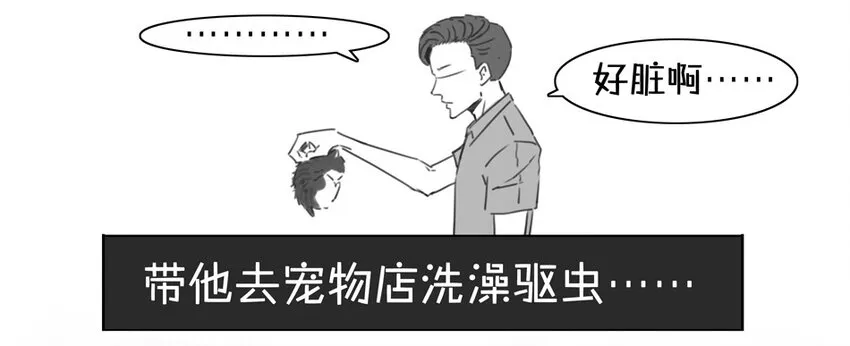 900 九百话纪念 第13页