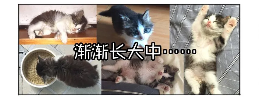 900 九百话纪念 第25页