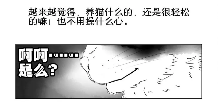 900 九百话纪念 第26页
