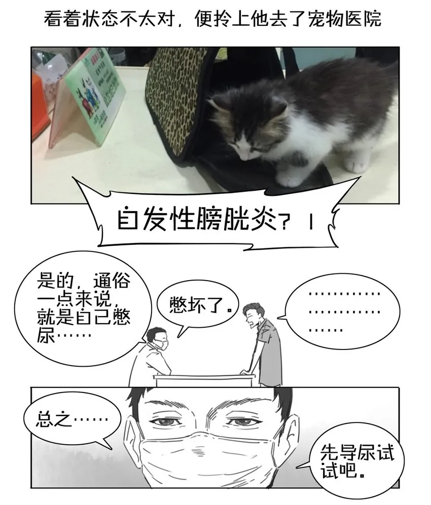 900 九百话纪念 第30页