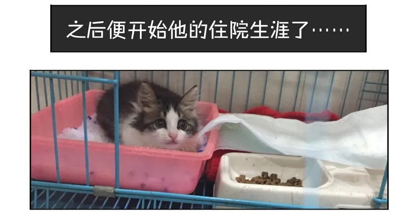 900 九百话纪念 第33页