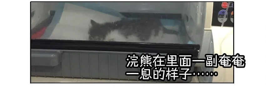 900 九百话纪念 第37页