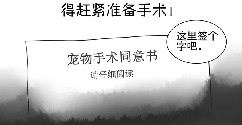900 九百话纪念 第41页