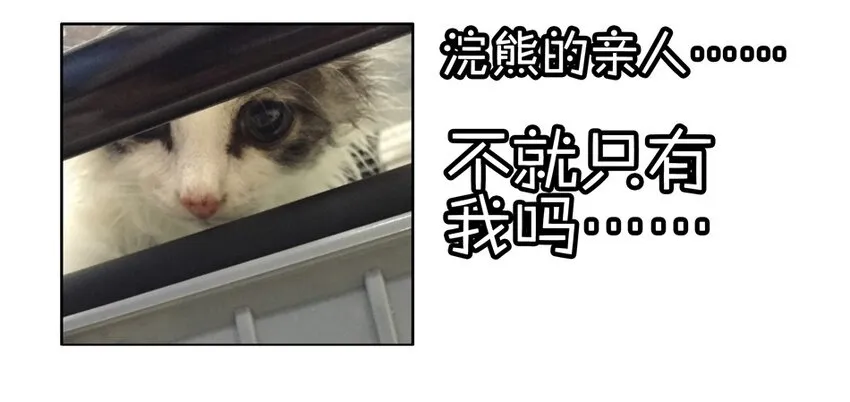 900 九百话纪念 第49页
