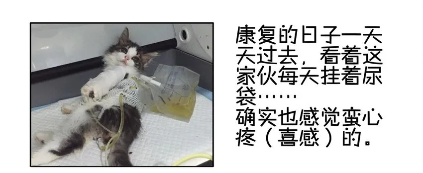 900 九百话纪念 第50页