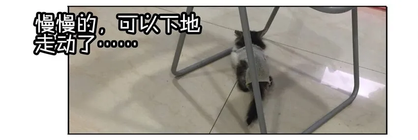 900 九百话纪念 第51页