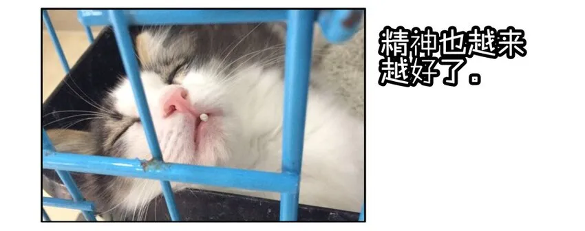 900 九百话纪念 第52页