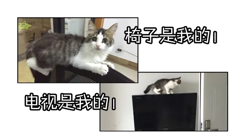 900 九百话纪念 第59页