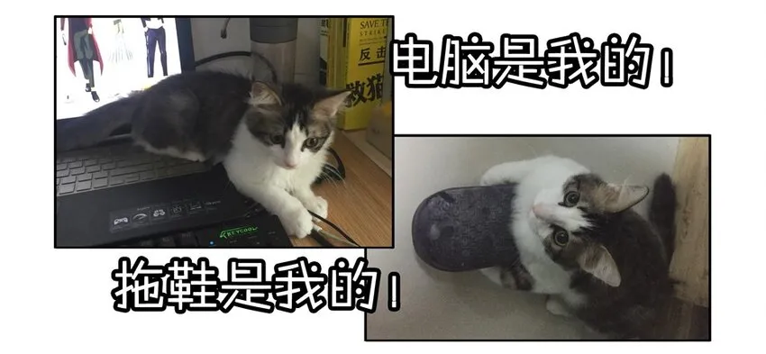 900 九百话纪念 第60页