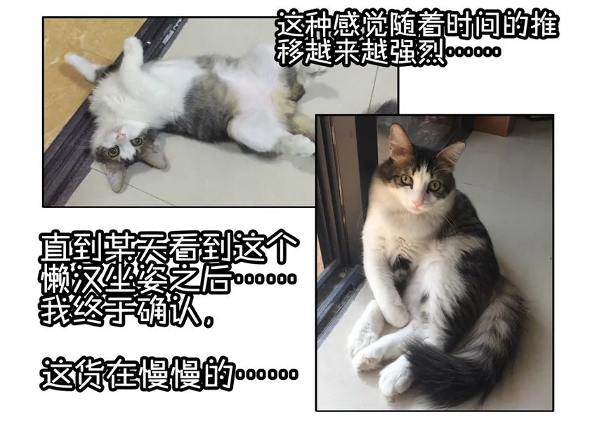 900 九百话纪念 第66页