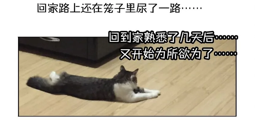 900 九百话纪念 第71页