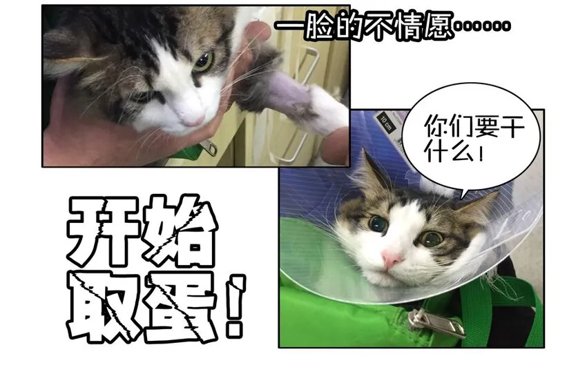 900 九百话纪念 第84页