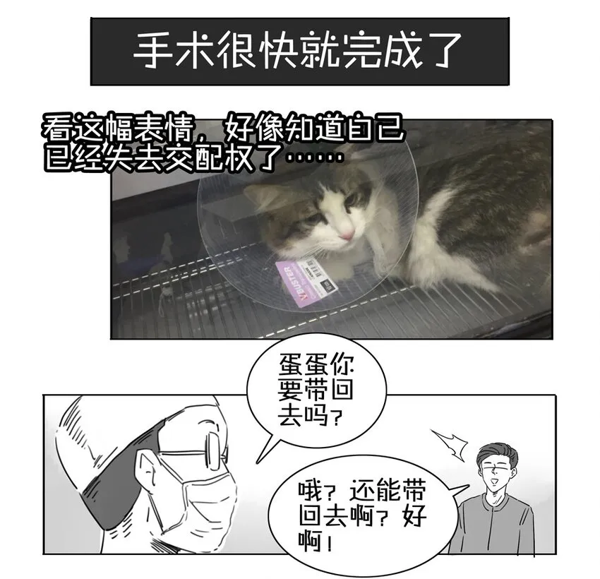 900 九百话纪念 第85页