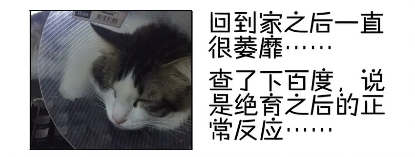 900 九百话纪念 第89页