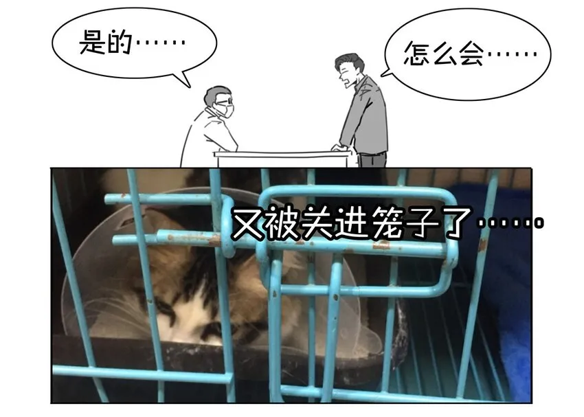 900 九百话纪念 第98页