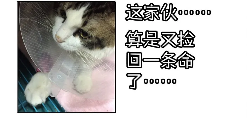 900 九百话纪念 第108页