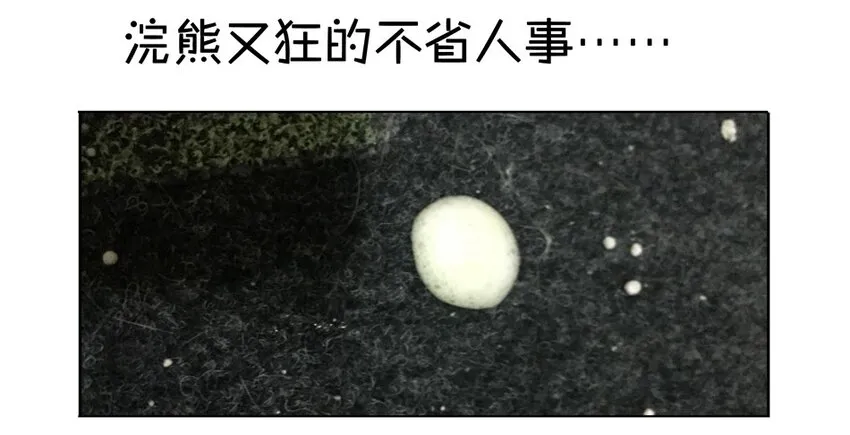 900 九百话纪念 第113页
