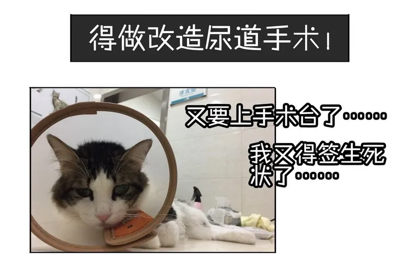 900 九百话纪念 第116页
