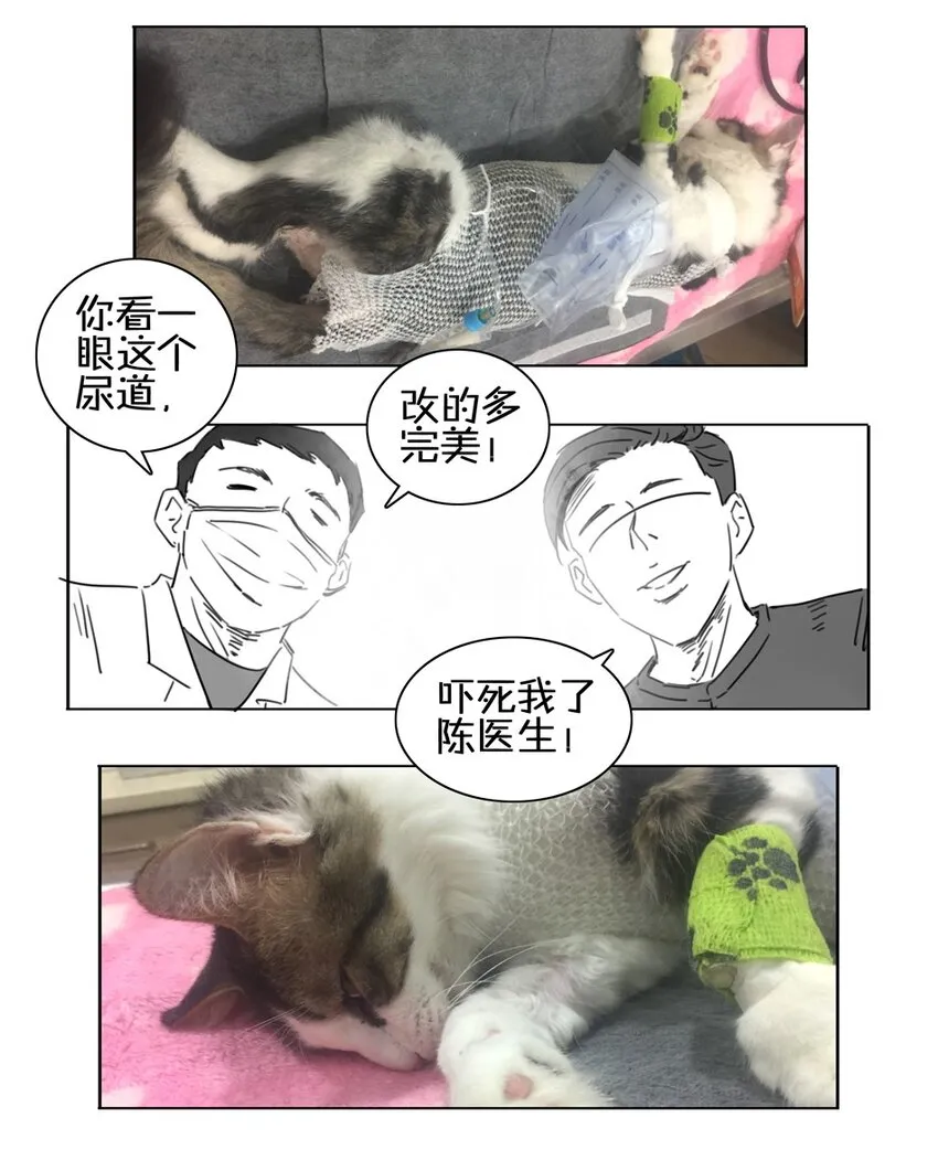 900 九百话纪念 第121页