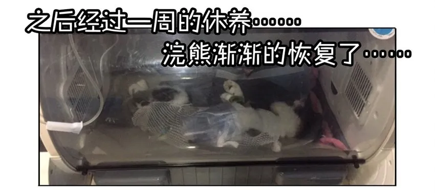 900 九百话纪念 第124页