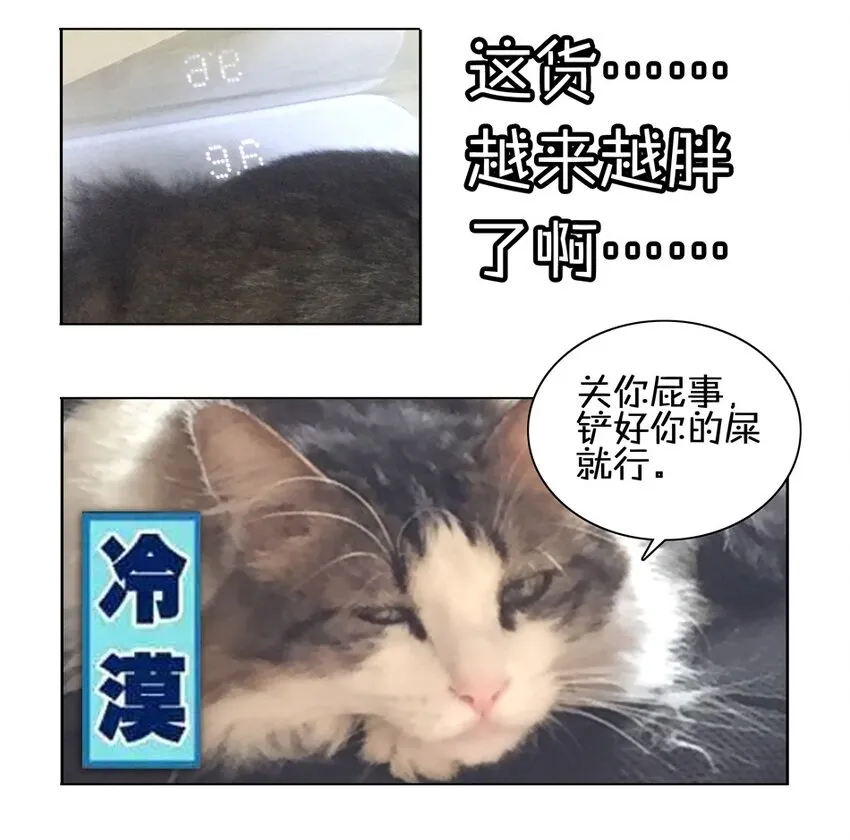 900 九百话纪念 第133页