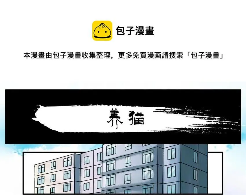 904 养猫 第1页