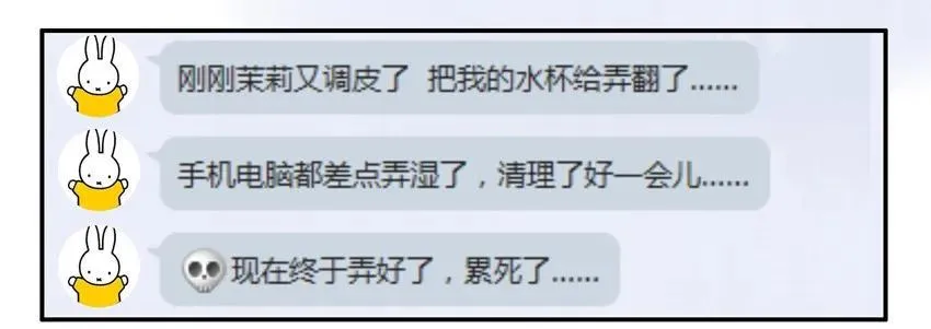 904 养猫 第4页