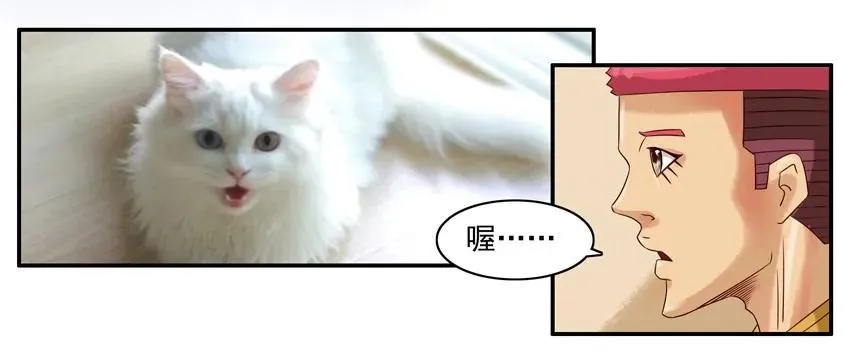 904 养猫 第8页