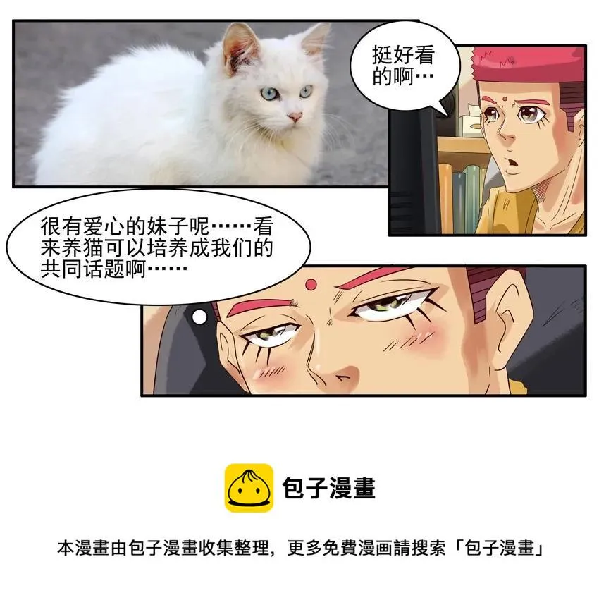 904 养猫 第9页