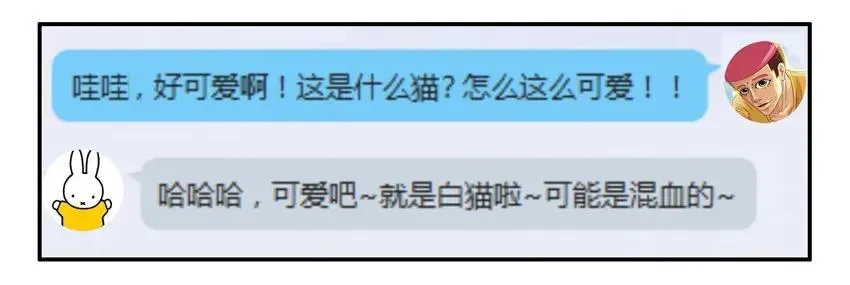 904 养猫 第10页