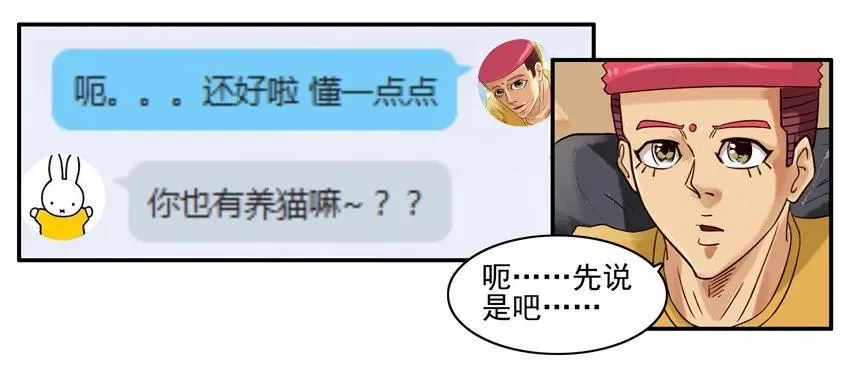 904 养猫 第12页