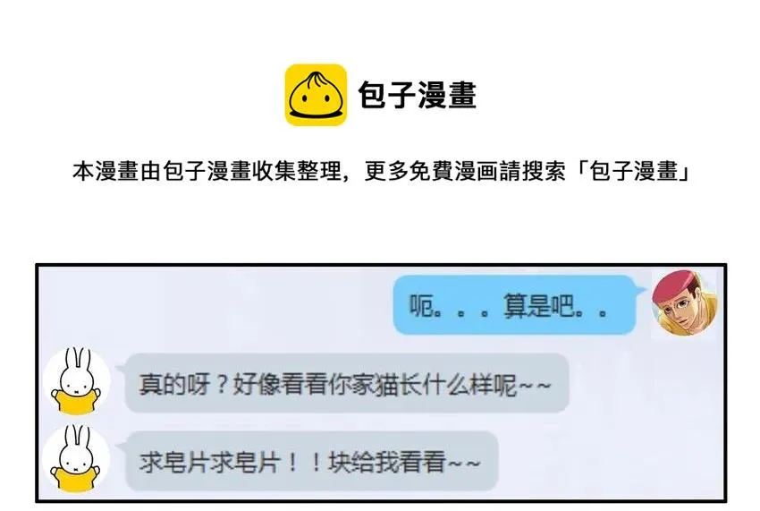 904 养猫 第13页