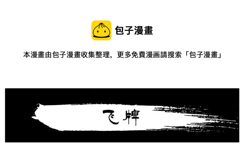 1369 飞牌 第1页