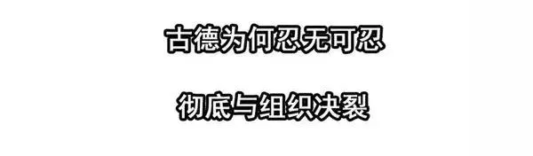 1446 前传预告 第35页