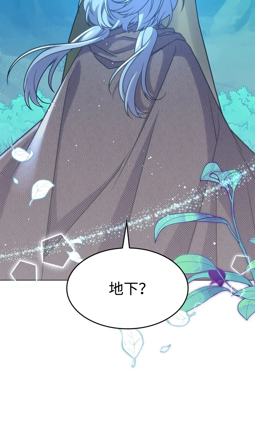 22 诺迪姆 第64页