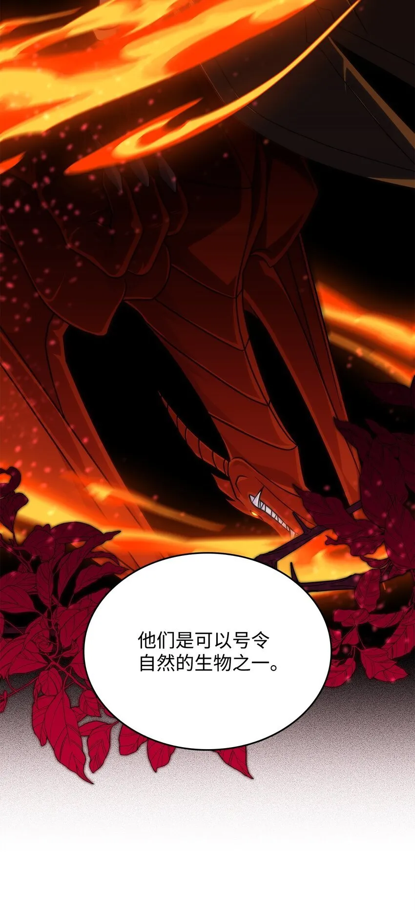 31 龙是存在的 第26页