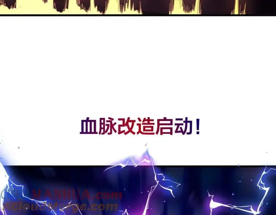 血脉改造 第85页