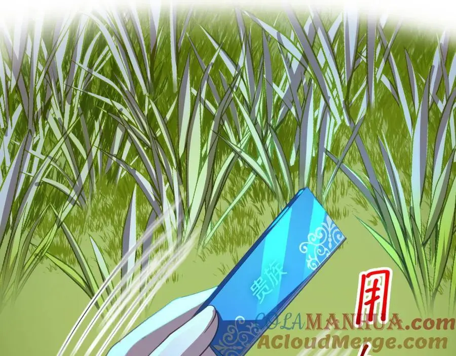 时间静止之术 第73页