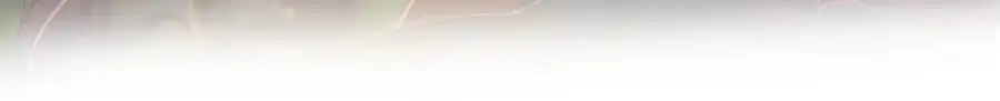 我们都可以当陪嫁 第91页